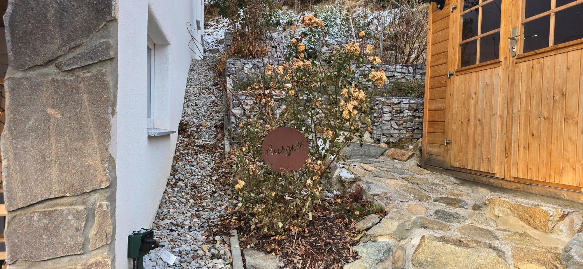 웬스 Haus Auszeit B&B 외부 사진